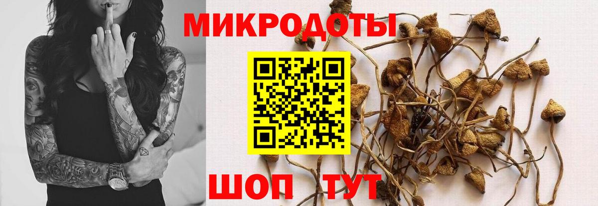 Дербент  где можно купить   Вход с VPN  Псилоцибиновые грибы Magic Shrooms 